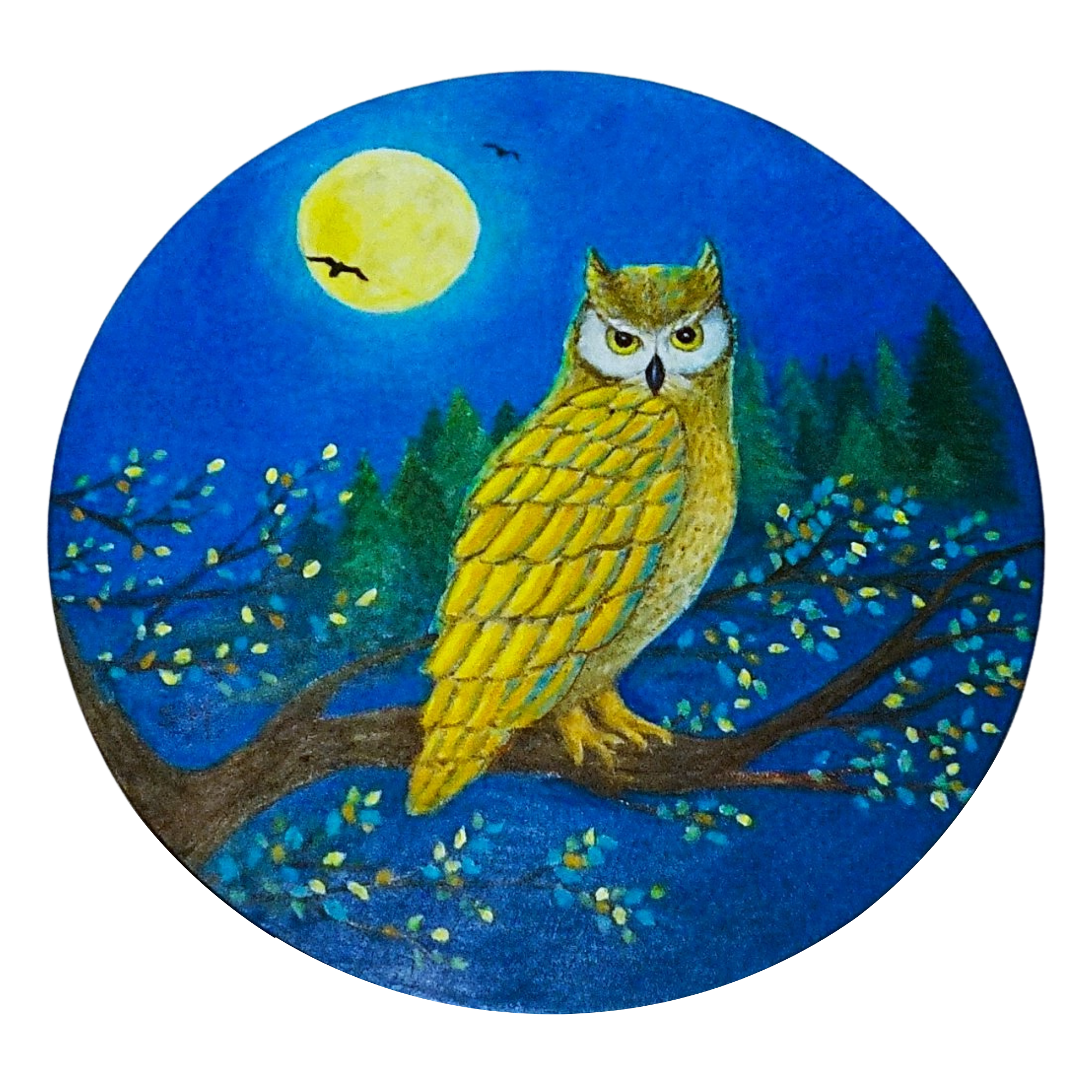 Nóttin er minn tími