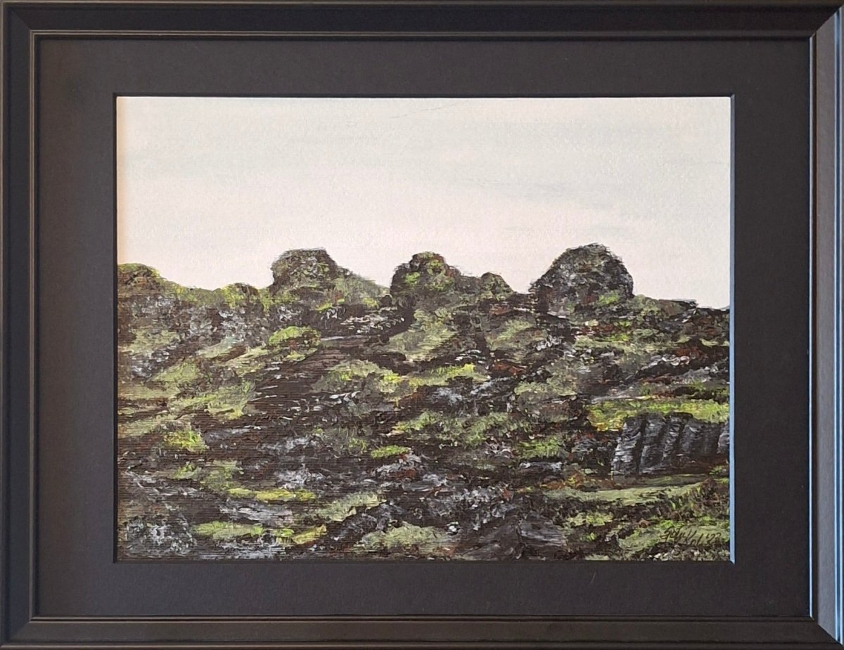 Á Íslandi - Svínahraun