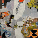 Surtsey - Fléttur í foksandi