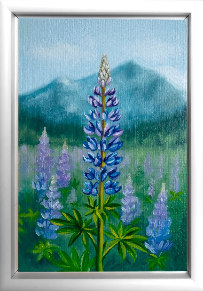 Lupine