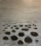 Kíkt upp úr snjónum