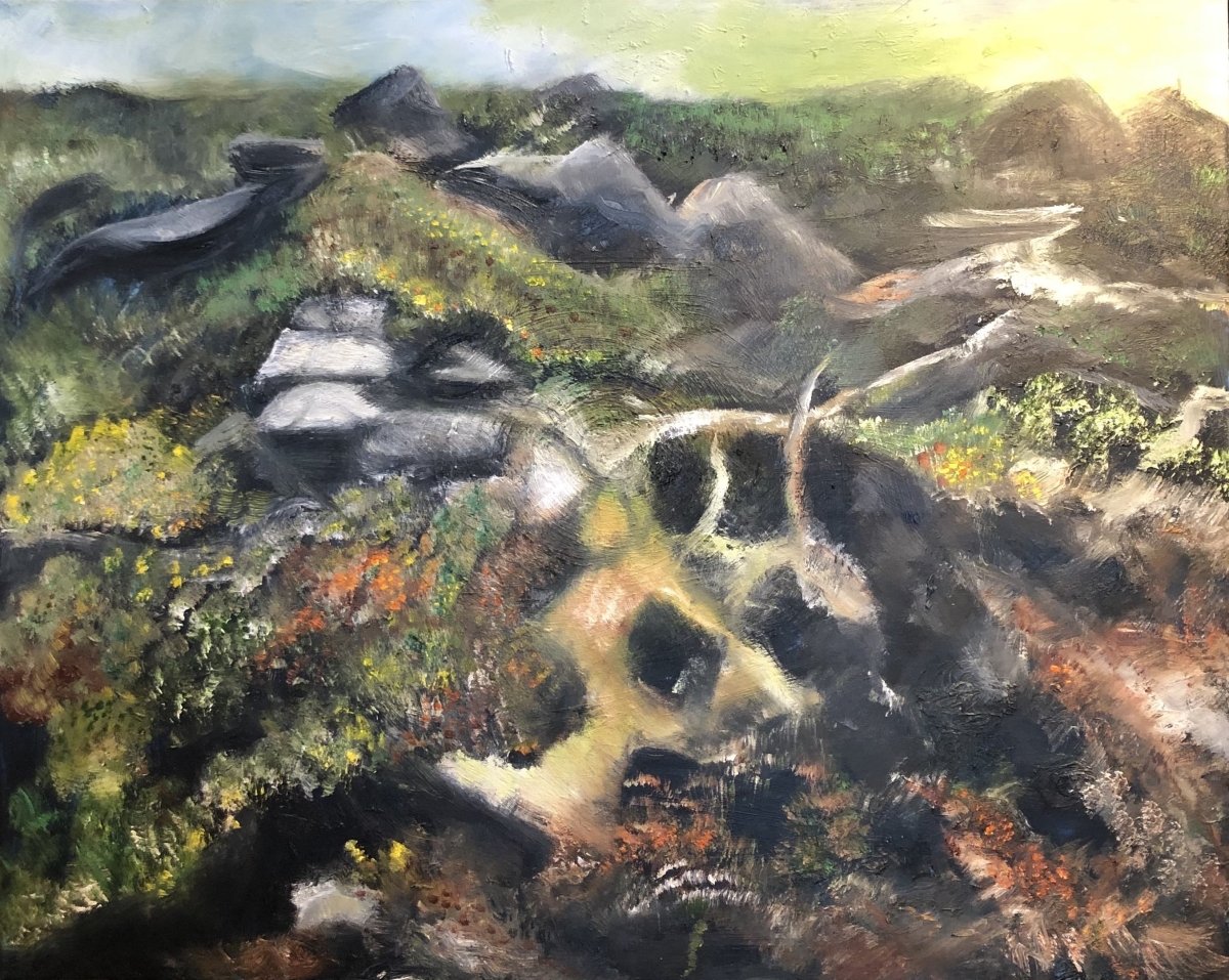 Mosi, grjót og gróður