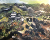 Mosi, grjót og gróður