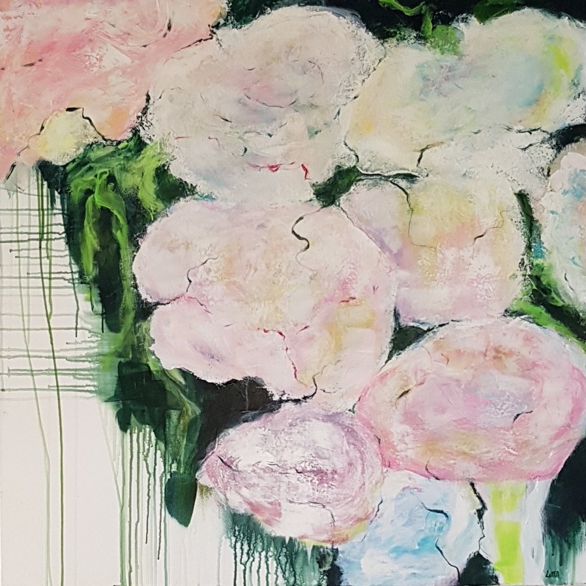 My beautiful flowers 7