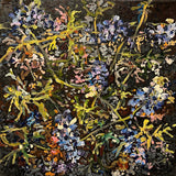 Surtsey - landnám lúpínu