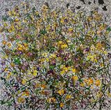 Surtsey - Sóleyjar og blágresi