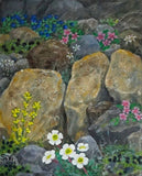 Gróður í grjótinu