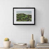 Á Íslandi - Mosinn breiðist yfir hraunið