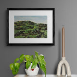 Á Íslandi - Mosinn breiðist yfir hraunið