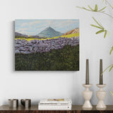 Baula