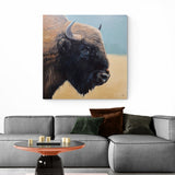 Evrópski Vísundurinn