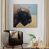 Evrópski Vísundurinn