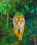 Horft í augu tígrisdýrs