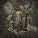 The Day the Butterflies borrowed her dreams