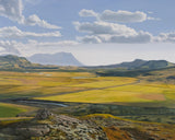 Stundum fór ég suður